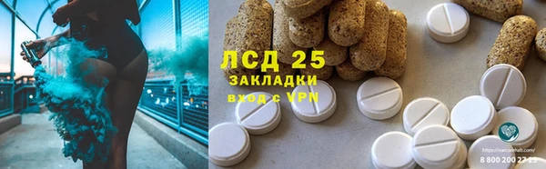 прущие грибы Приозерск
