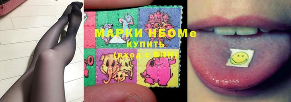 прущие грибы Приозерск