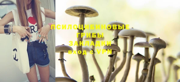 ешки Покачи