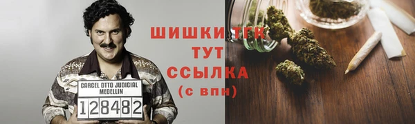 индика Пролетарск