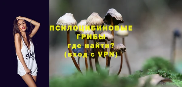 прущие грибы Приозерск