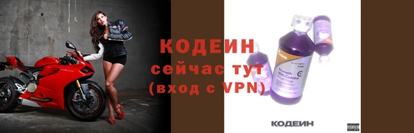 индика Пролетарск