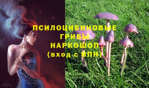 индика Пролетарск
